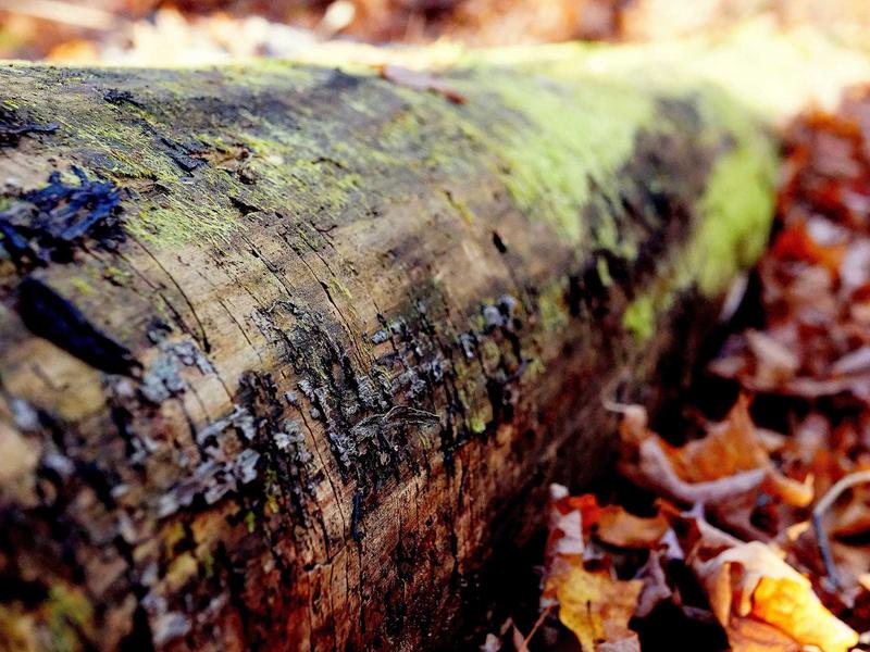 sudoku account login